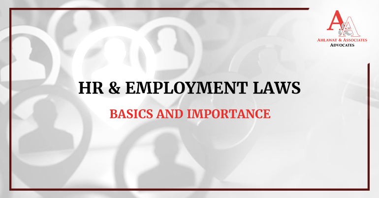 Basics and Importance of HR and Employment Advisors in India